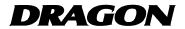 Dragon Logo